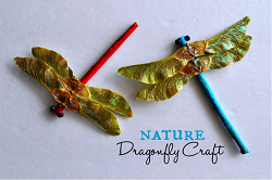 dragonfly-final.png style=float:left;