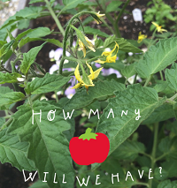 gardenmath.png style=float:left; padding:5px;